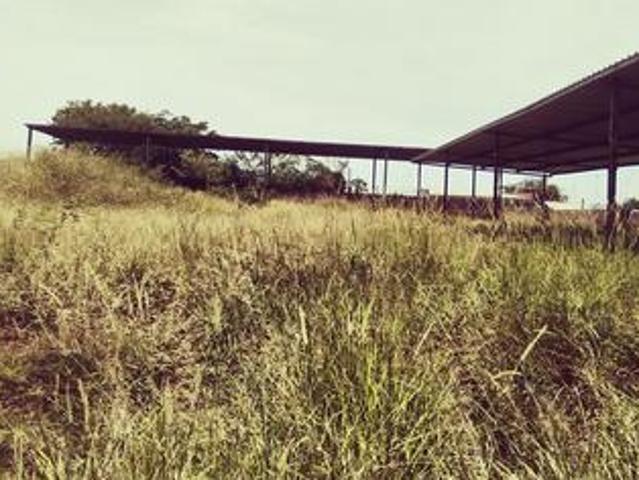 Land for sale in Vhembe, Limpopo