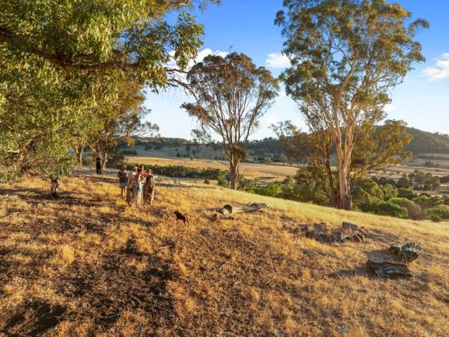 Cottage for sale in Boorolite, Victoria