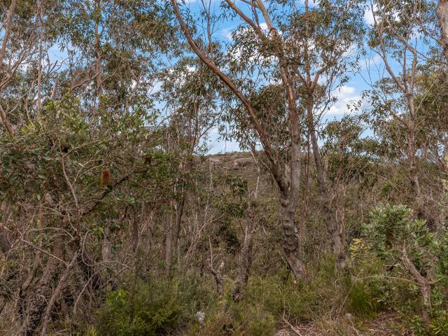 House for sale in Wentworth Falls, New South Wales