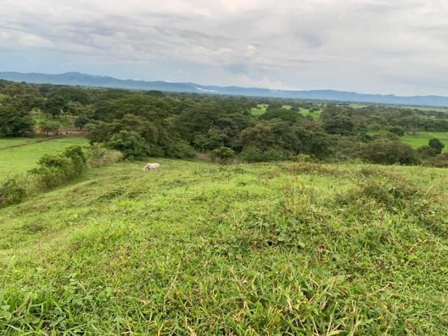 Terreno venta en Tonosí, Los Santos