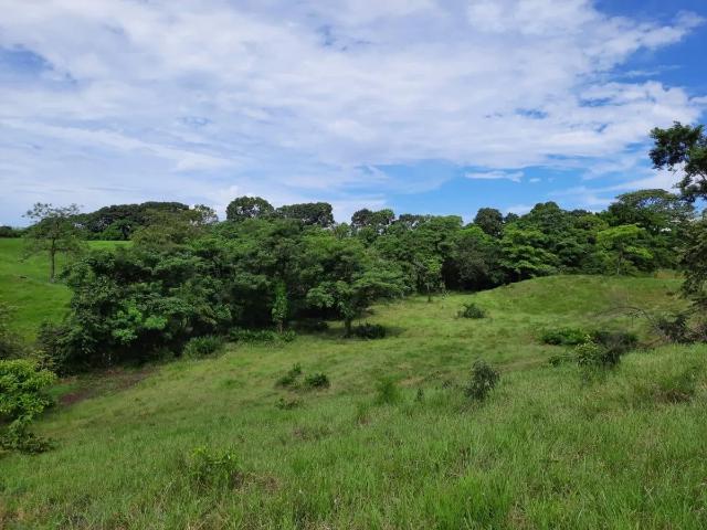Terreno venta en Soná