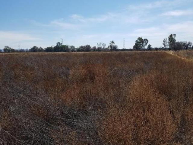 Rancho en venta en San Luis Potosí