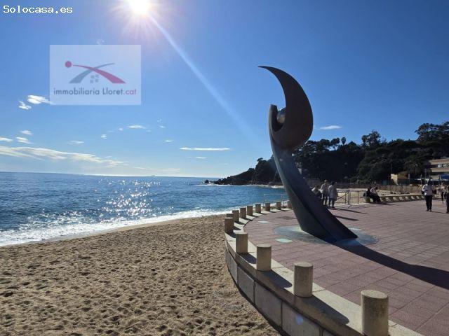 Local Comercial en venta en Serra Brava, la Selva