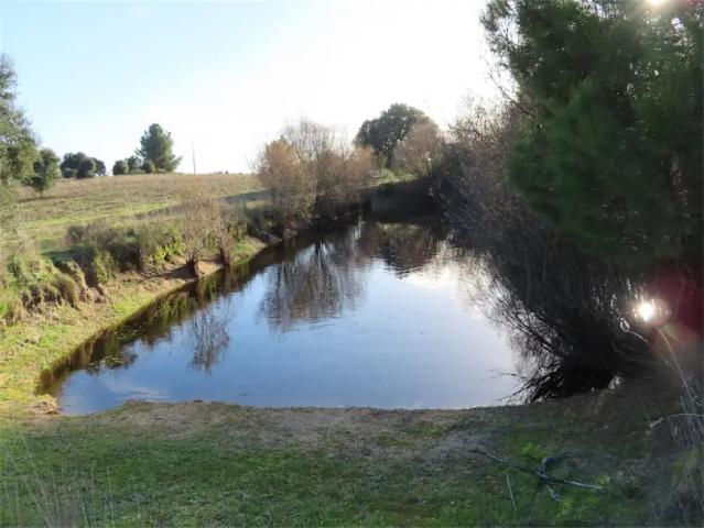 Quinta venda em Castelo Branco