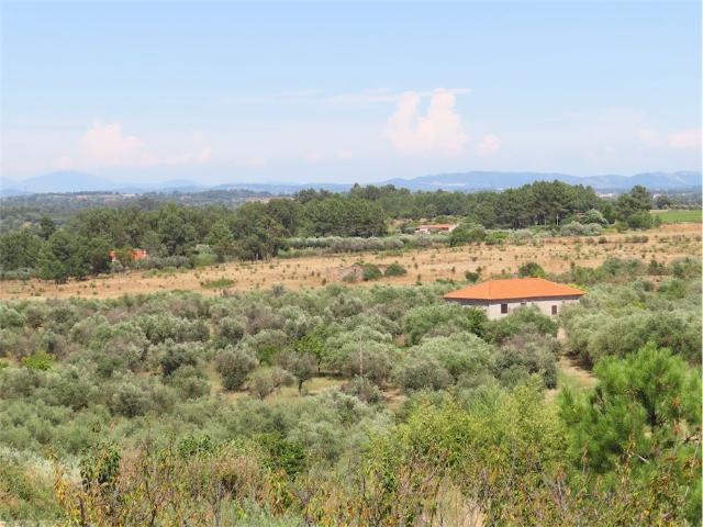 Casa venda em Castelo Branco
