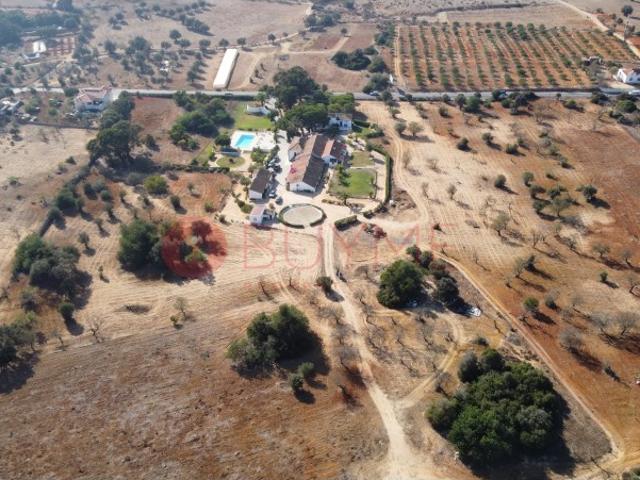Casa venda em Guia, Quinta dos Álamos