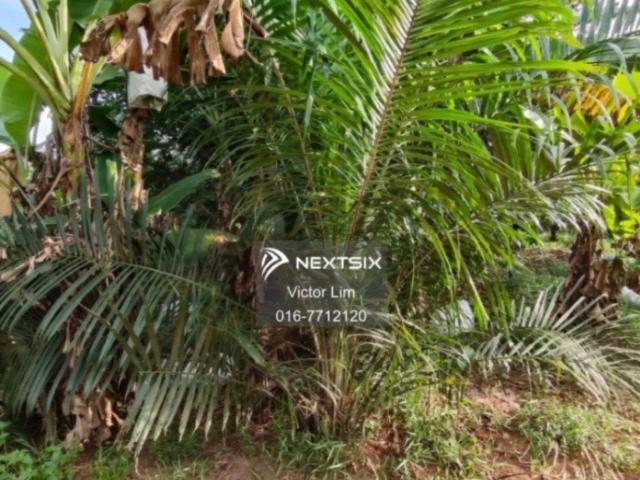 Residential House for sale in Petaling, Damansara Damai