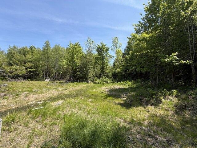 Land for sale in Maine