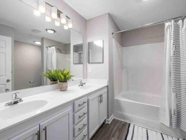 Apartment for rent in Durham, North Carolina