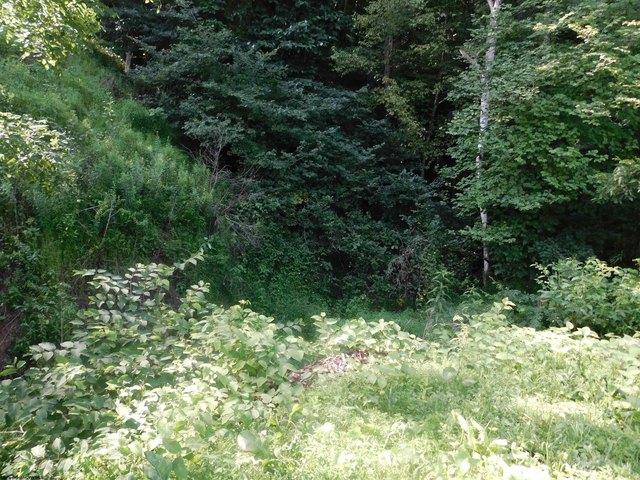 Farm for sale in Newburg, West Virginia