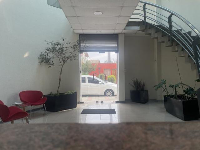 Independencia, Los nidos