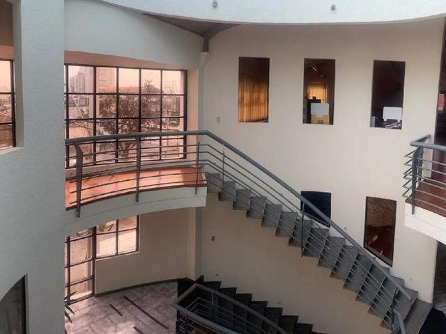 Independencia, Los nidos