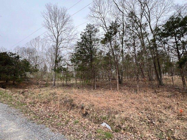 Land for sale in Goreville, Illinois