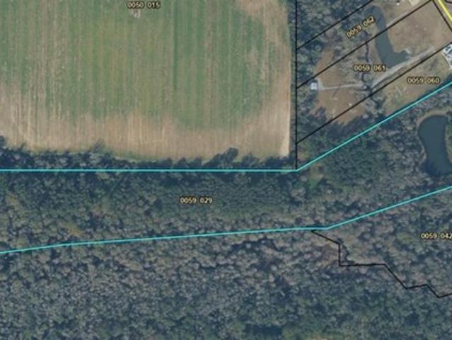 Farm for sale in Adel, Georgia