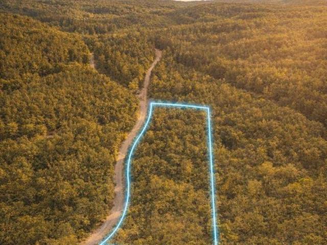 Land for sale in Alabama