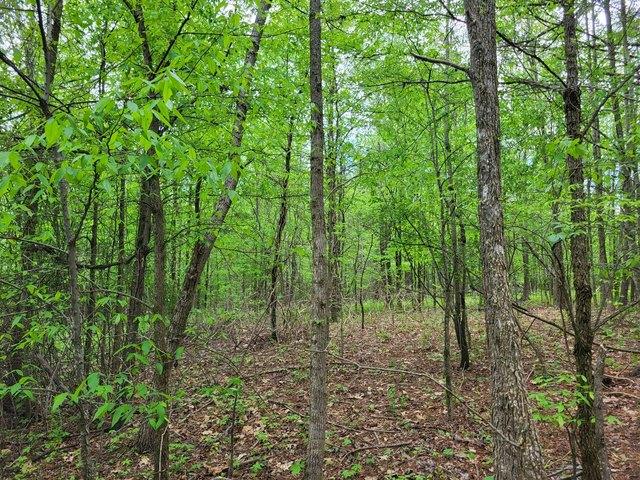 Land for sale in Tennessee