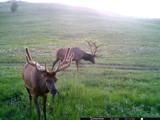 Land for sale in Broadwater, Montana