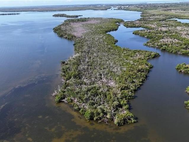 Land for sale in Florida