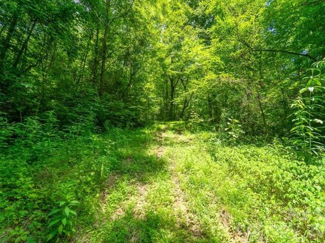 Land for sale in Sylva, North Carolina