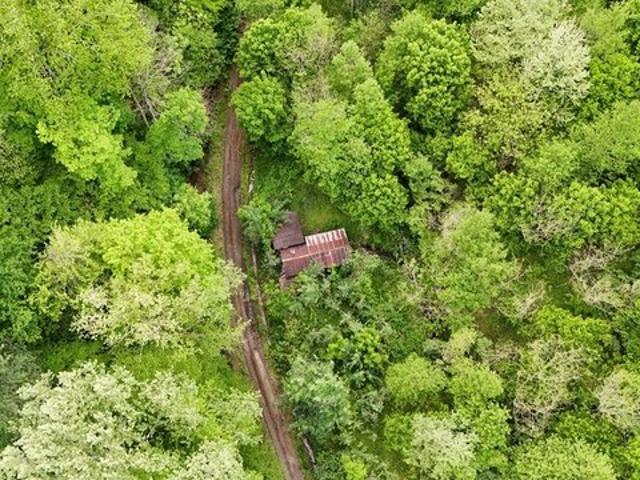 Land for sale in Mouthcard, Kentucky