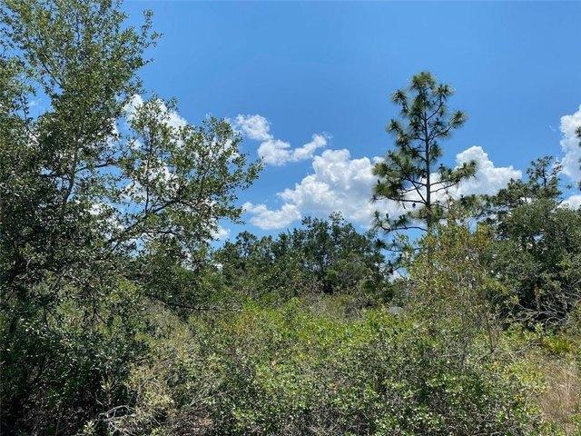 Land for sale in Indian Lake Estates, Florida