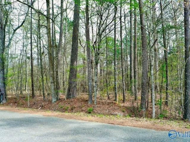 Land for sale in Etowah, Alabama