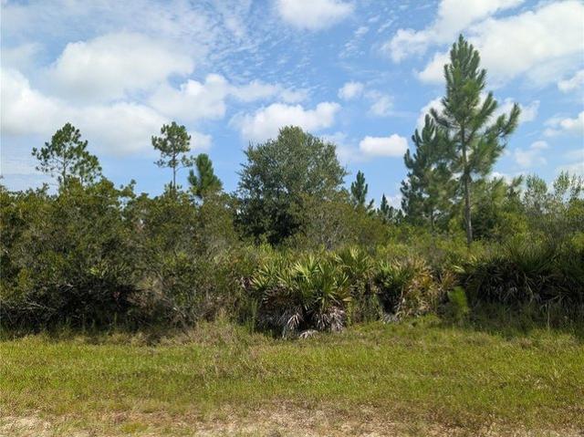 Land for sale in Florida