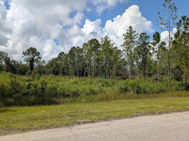Land for sale in Indian Lake Estates, Florida
