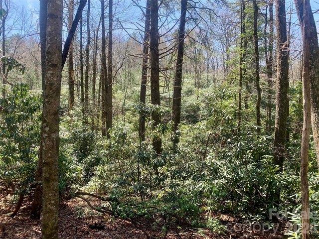 Land for sale in Transylvania, North Carolina
