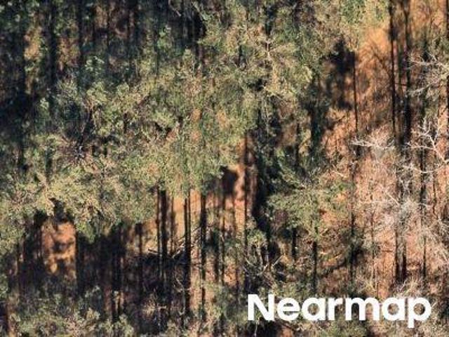 House for sale in Calhoun, Ouachita Parish
