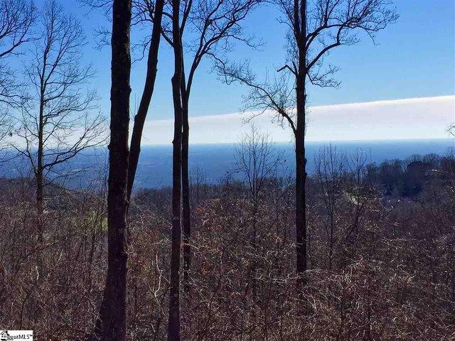 Land for sale in Landrum, South Carolina