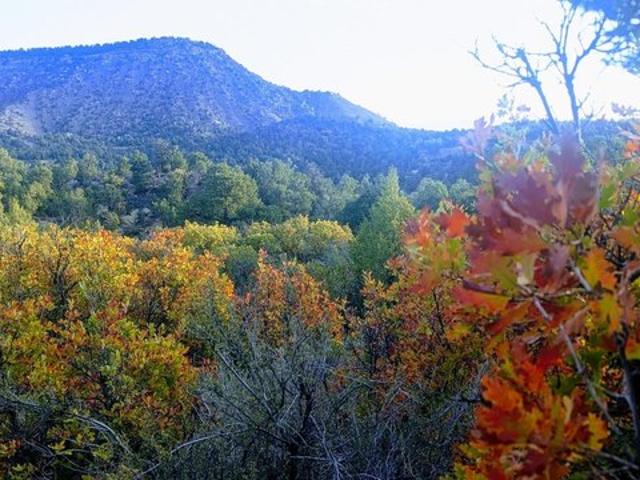 Land for sale in La Plata, Colorado