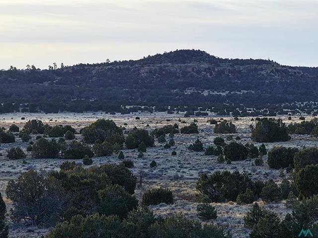 Farm for sale in Ramah, New Mexico