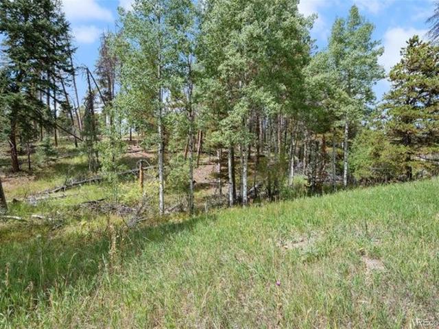Land for sale in Conifer, Jefferson County