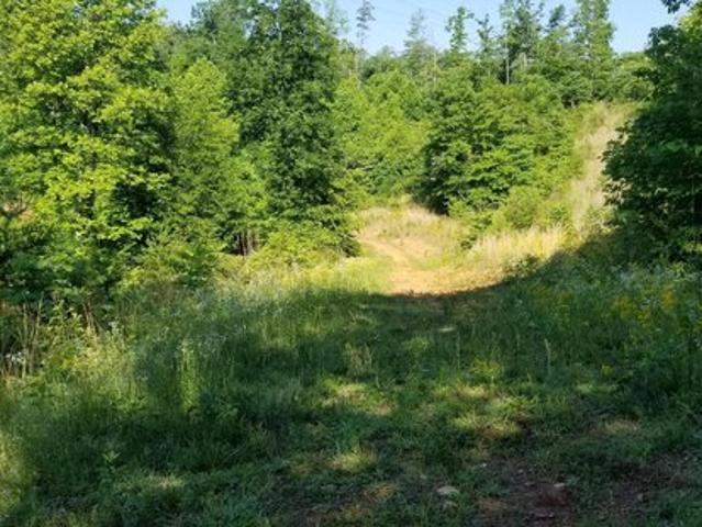 Land for sale in Virginia