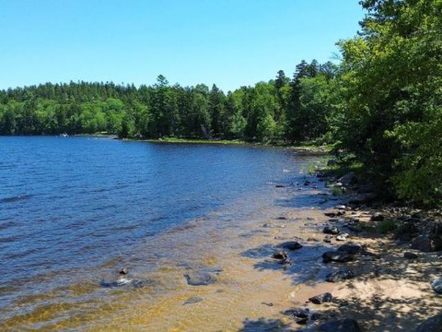 Land for sale in East Machias, Maine