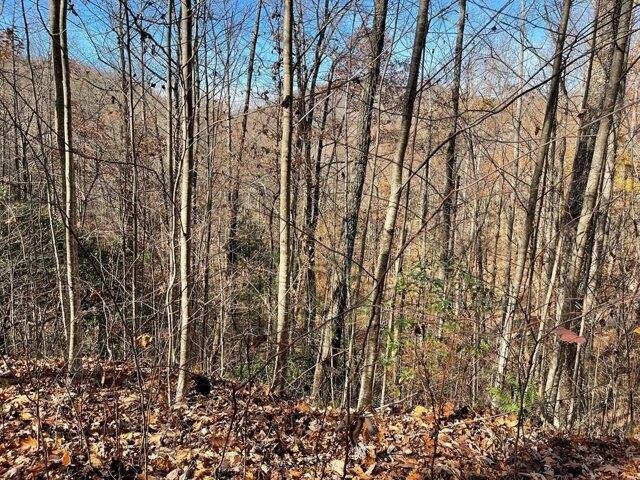 Land for sale in Hayesville