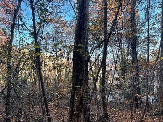 Land for sale in Hayesville