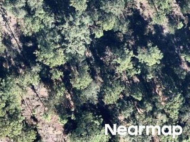 Land for sale in Hawthorne, Florida