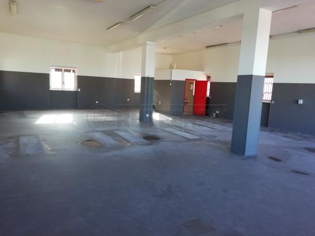 Villa Indipendente in affitto a Municipio 1, Puglia