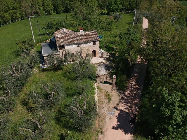 Villa Indipendente in affitto a Marche, Fermo