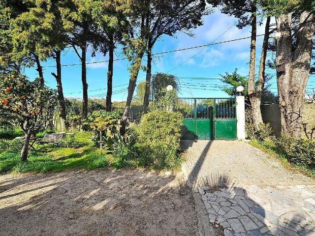 Armazém venda em Fonte da Carreira, Cascais