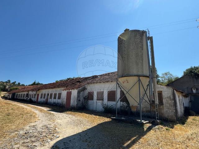Armazém venda em Torres Novas, Santarém