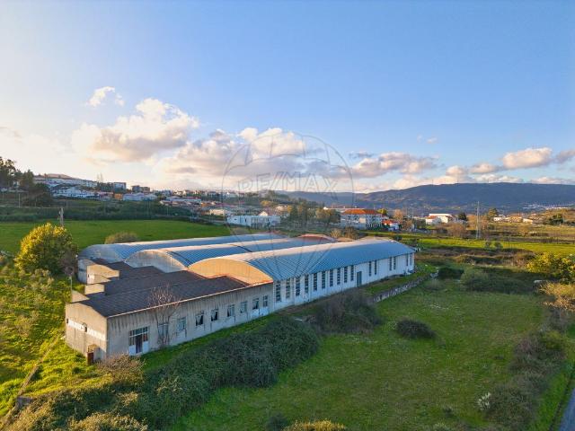 Armazém venda em Belmonte