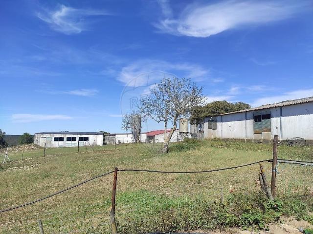 Armazém venda em Brotas, Mora