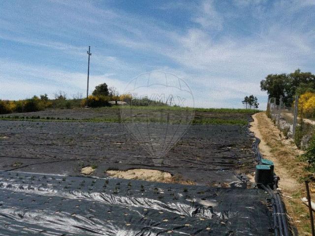 Armazém venda em Chaves, Vila Real