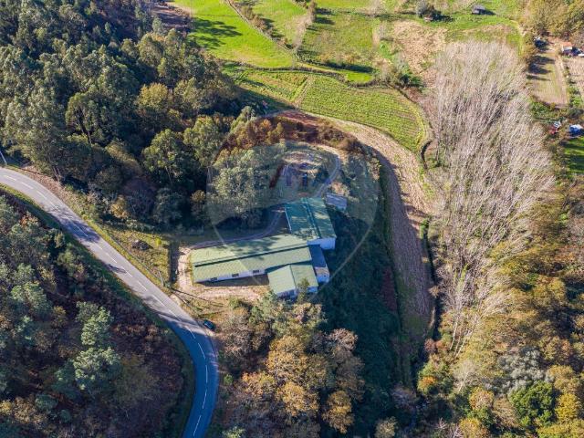 Terreno venda em Ribeiro da Ova, Fafe