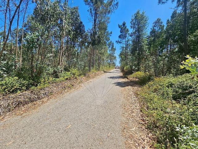 Armazém venda em Pampilhosa, Mealhada