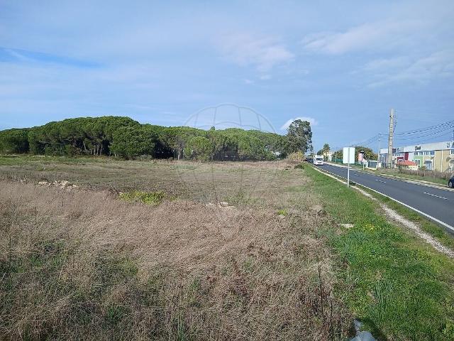 Armazém venda em Carne Assada, Terrugem