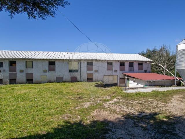Armazém venda em Couto Do Mosteiro, Viseu
